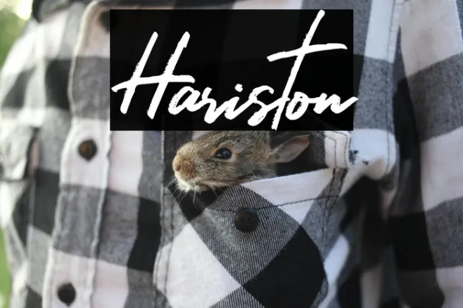 Hariston Example 2