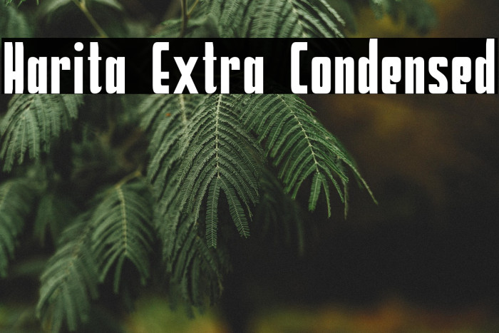 Harita Extra Condensed Example 3