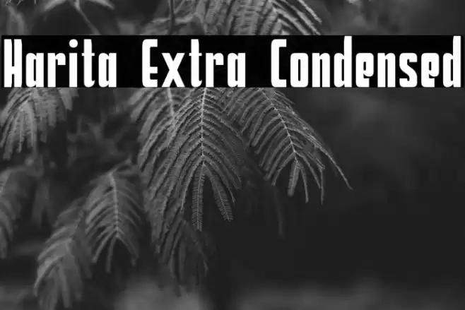 Harita Extra Condensed Font examples