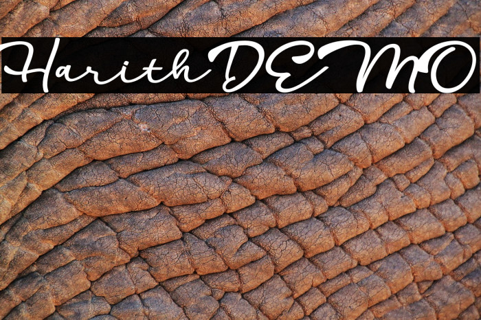 HarithDEMO Font examples