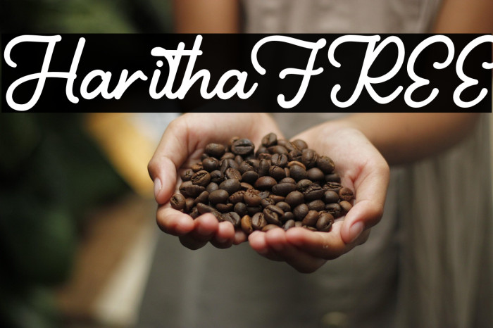 HarithaFREE Example 1
