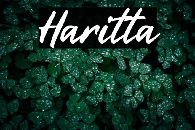 Haritta Example 1
