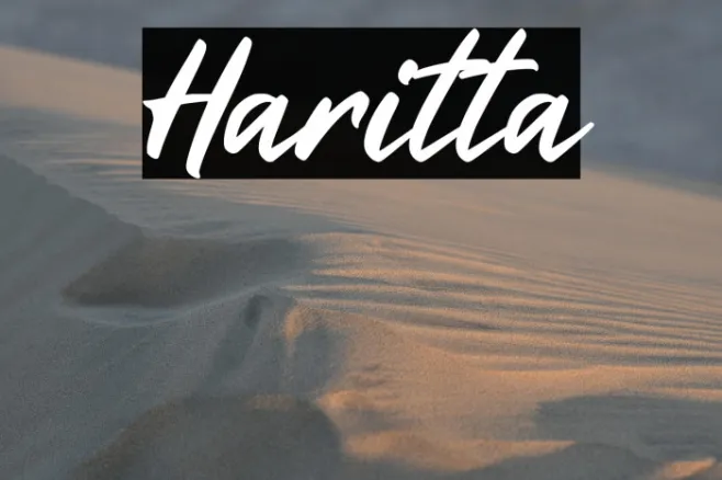 Haritta Example 3