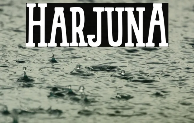 HarjunA Example 1