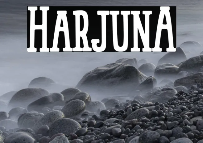 HarjunA Example 2