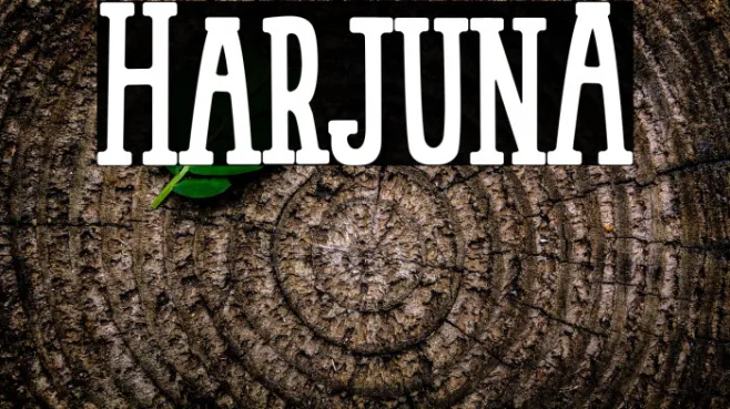 HarjunA Example 3