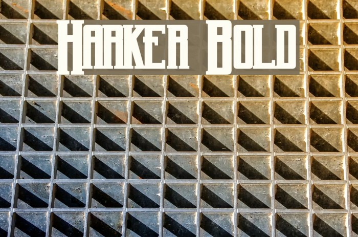 Harker Bold Font examples