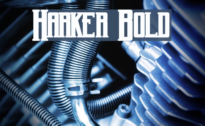 Harker Bold Font examples