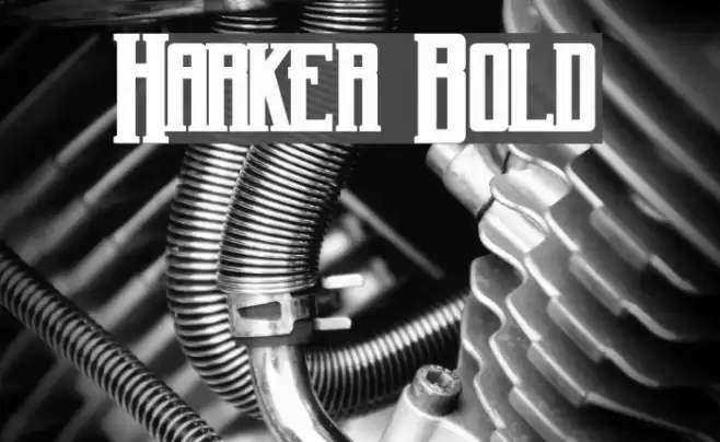 Harker Bold Fonte examples