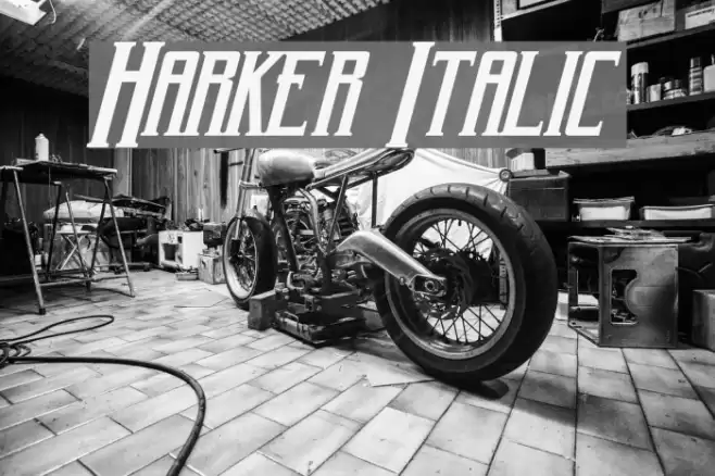 Harker Italic Font examples