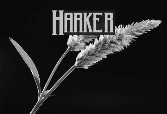 Harker Fonte examples