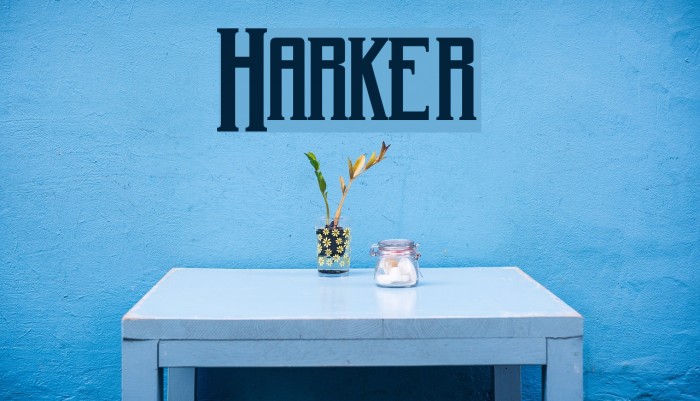 Harker Font examples