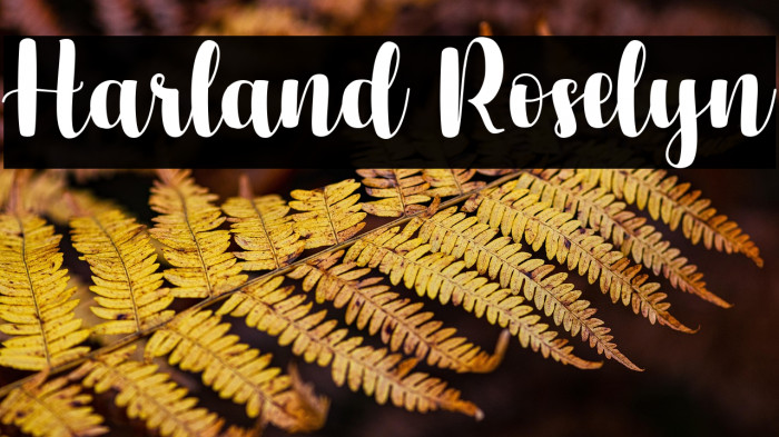 Harland Roselyn Example 1