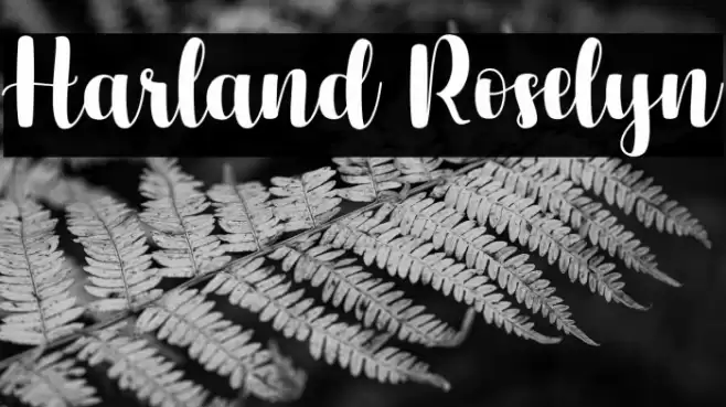 Harland Roselyn Font examples