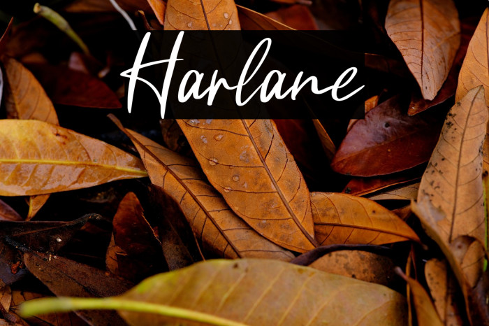 Harlane Example 1