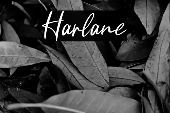 Harlane Font examples