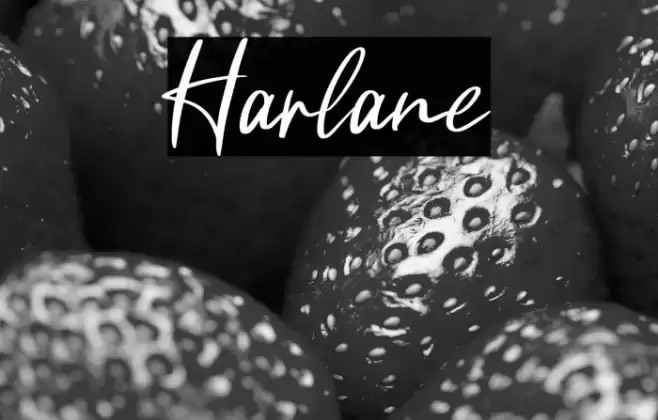 Harlane Font examples