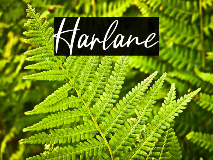 Harlane Example 3