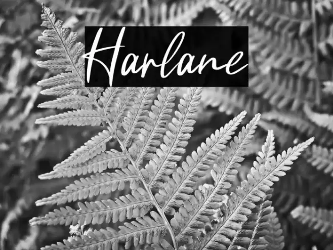 Harlane Font examples