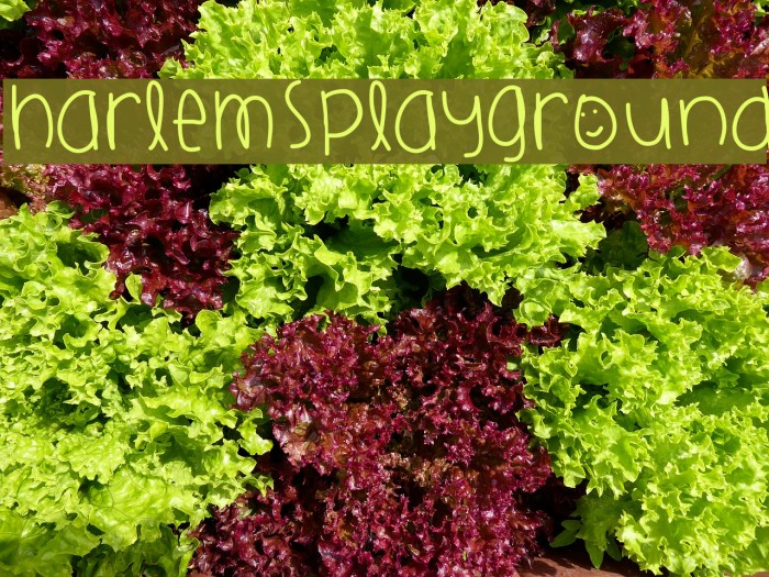 HarlemsPlayground Font examples