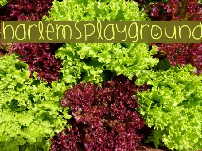 HarlemsPlayground Example 3