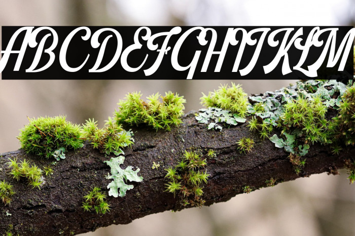 Harlend Demo Example 3