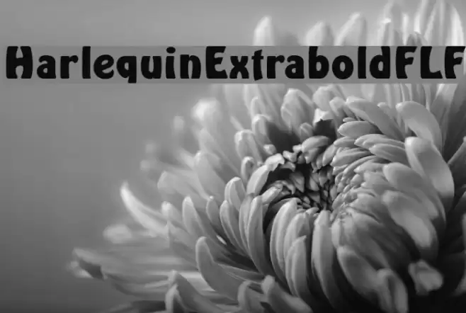 HarlequinExtraboldFLF Font examples