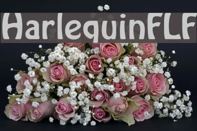 HarlequinFLF Example 1
