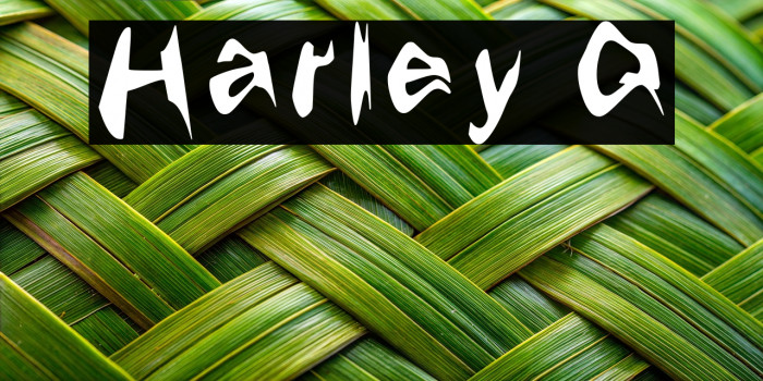 Harley Q Example 2