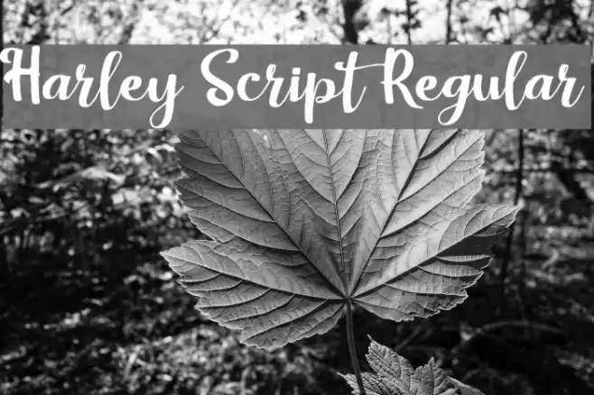 Harley Script Regular Font examples