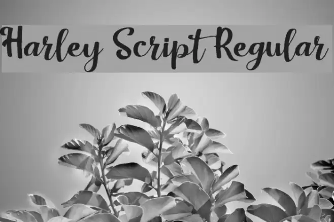 Harley Script Regular Font examples