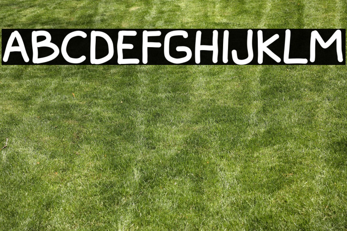 Harley Smith Example 2