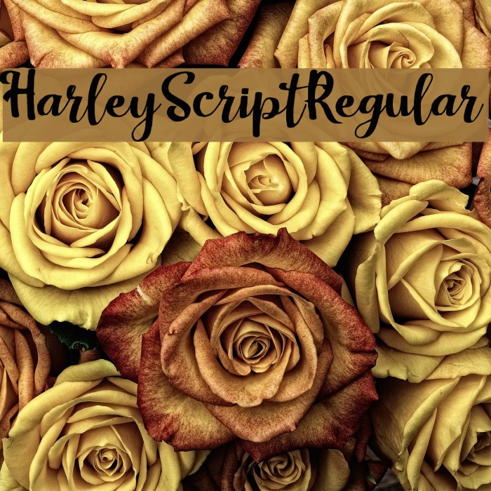 HarleyScriptRegular Font examples