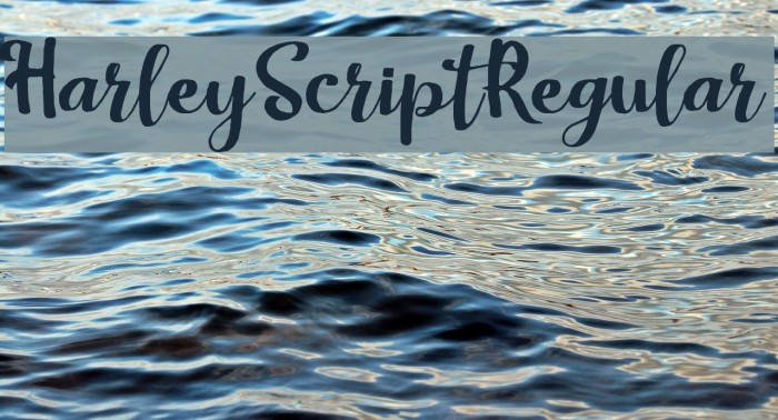 HarleyScriptRegular Font examples
