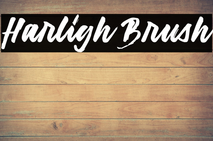 Harligh Brush Font examples