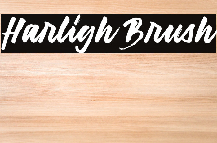 Harligh Brush Font examples