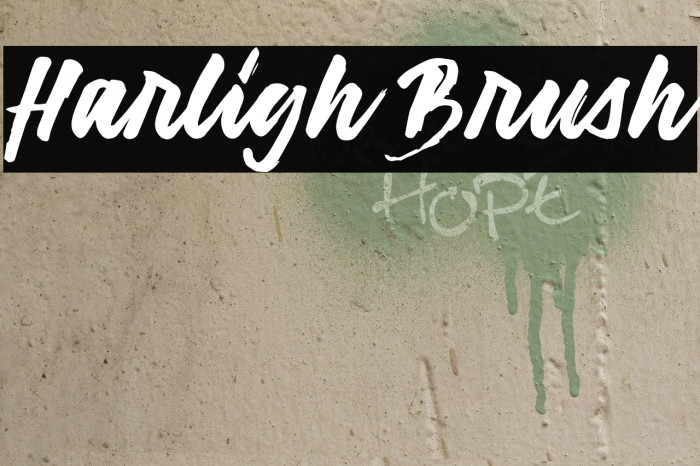 Harligh Brush Font examples
