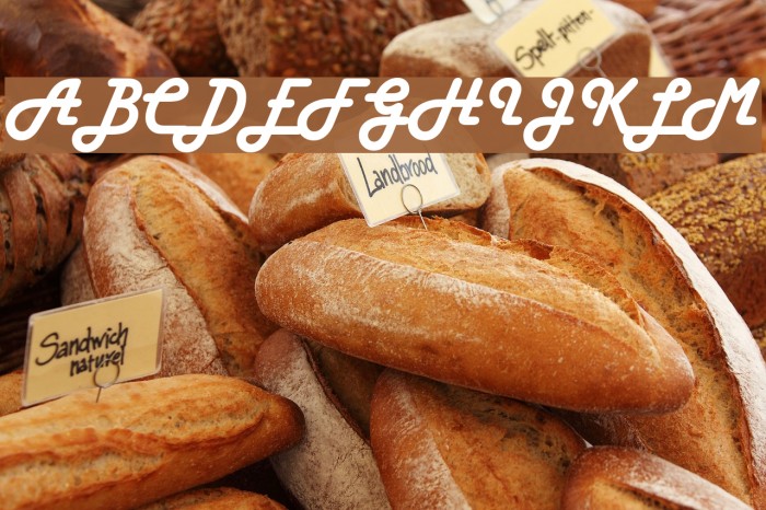Harlow Solid Italic Font examples