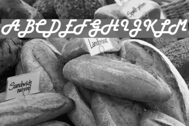 Harlow Solid Italic Font examples