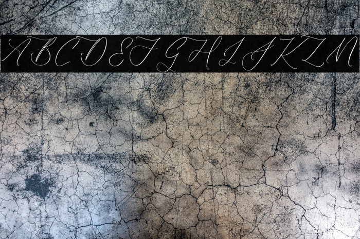 Harlyetta Mordila Example 3