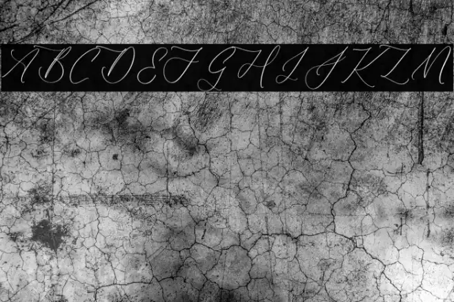 Harlyetta Mordila Font examples