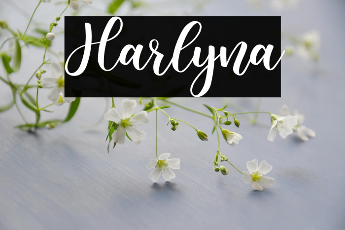 Harlyna Example 3