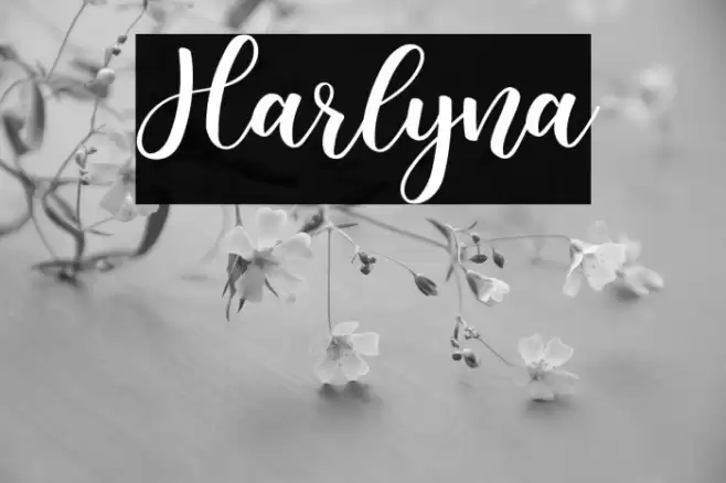 Harlyna Font examples