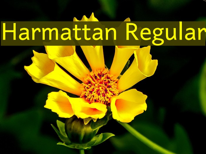 Harmattan Regular Font examples