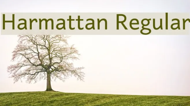 Harmattan Regular Example 3