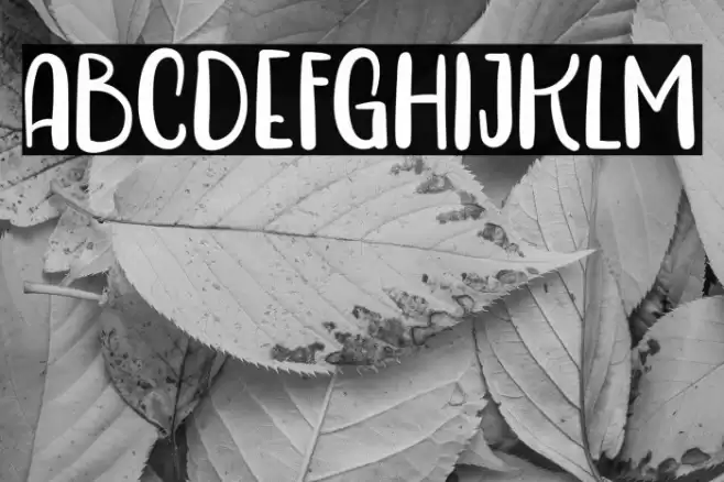 HarmoniaFREE Font examples