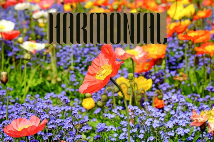 Harmonial フォント examples