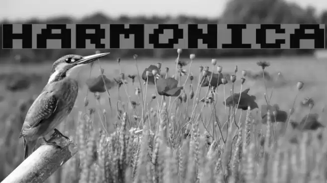 Harmonica Fonte examples