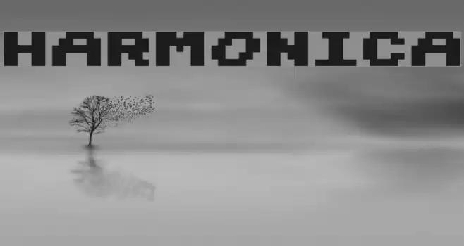 Harmonica Fonte examples