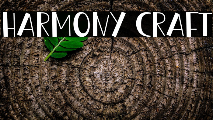 Harmony Craft Example 1